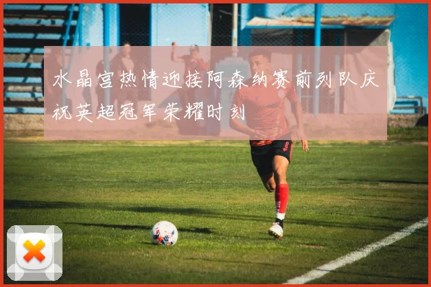 水晶宫热情迎接阿森纳赛前列队庆祝英超冠军荣耀时刻