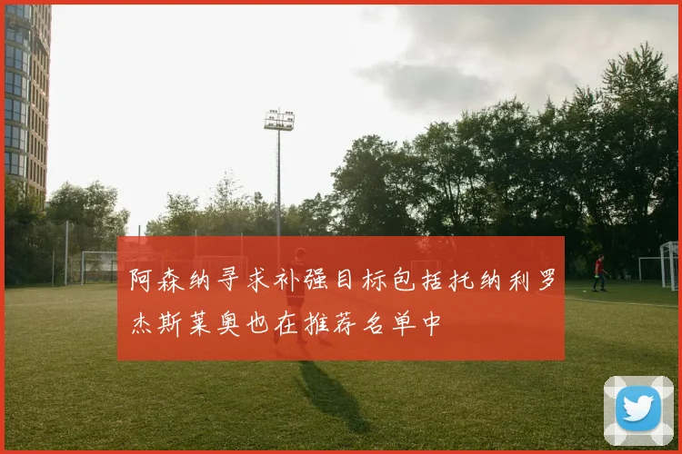 阿森纳寻求补强目标包括托纳利罗杰斯莱奥也在推荐名单中